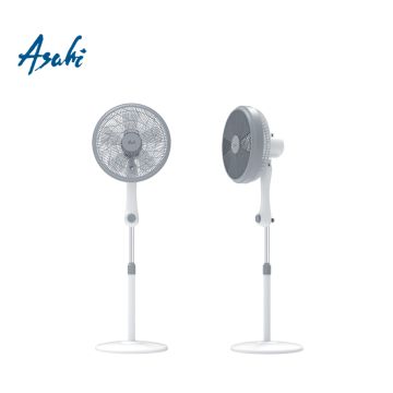 Asahi PG6083X2