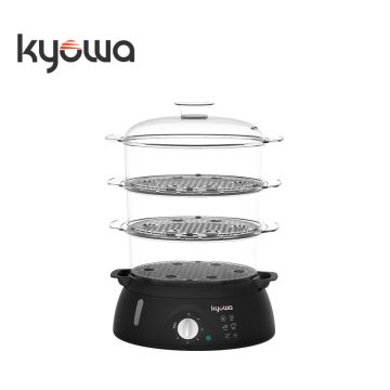 Kyowa KW1903