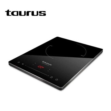 Taurus IH2011