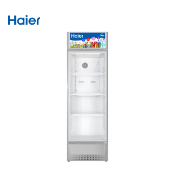 Haier SC309