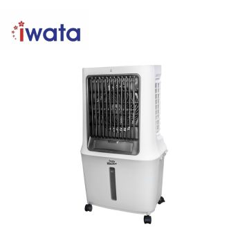 Iwata COLSTREAMCSI502